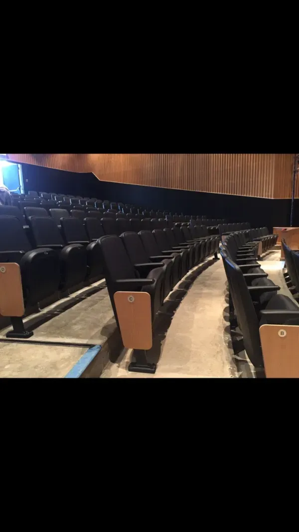 Empty auditorium with rows of black seats.